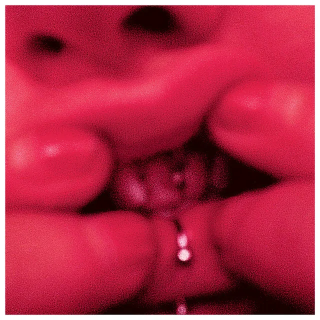 Pochette Jessica 93 — Guilty Species